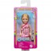 Barbie Chelsea Bebekler DWJ33-HXM95